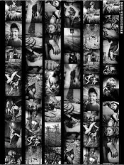 Anders Petersen Stockholm /Anglais