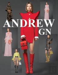 Andrew Gn
