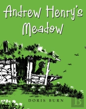 Andrew Henry'S Meadow