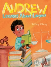 Andrew Learns About Lawyers