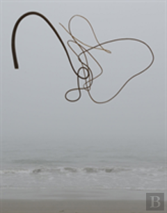 Andy Goldsworthy: Ephemeral Works