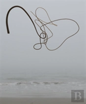 Andy Goldsworthy: Ephemeral Works