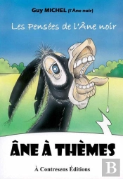 Ane A Themes