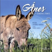Ânes : Tendres Âmes