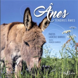 Bertrand.pt - Ânes : Tendres Âmes