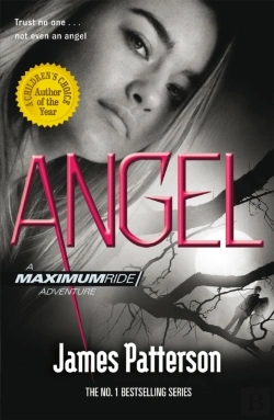 Bertrand.pt - Angel: A Maximum Ride Novel