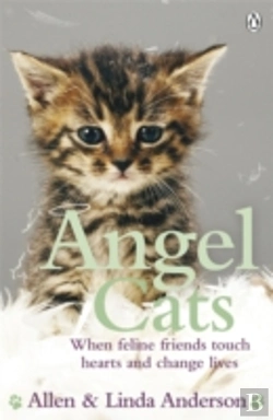 Bertrand.pt - Angel Cats
