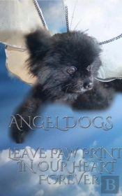 Angel Dog In Heaven