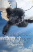 Angel Dog In Heaven Writing Drawing Journal