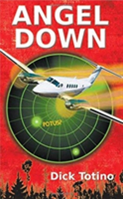 Bertrand.pt - Angel Down