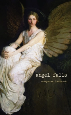 Bertrand.pt - Angel Falls