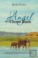 Angel In A Thorn Bush