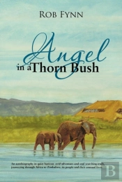 Angel In A Thorn Bush
