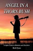 Angel In A Thorn Bush