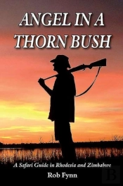 Angel In A Thorn Bush