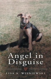 Angel In Disguise