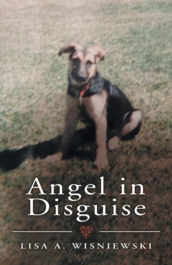Bertrand.pt - Angel In Disguise