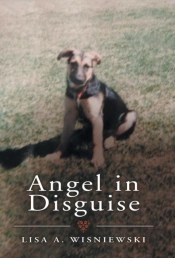 Angel In Disguise