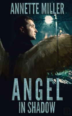 Bertrand.pt - Angel In Shadow