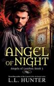 Angel Of Night