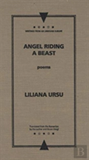 Angel Riding A Beast
