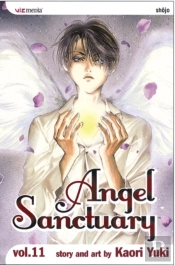 Angel Sanctuary, Vol. 11