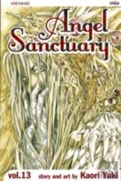 Angel Sanctuary, Vol. 13