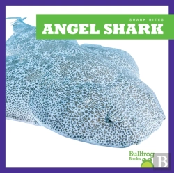 Bertrand.pt - Angel Shark