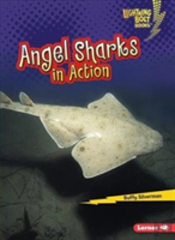 Bertrand.pt - Angel Sharks In Action