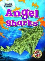 Angel Sharks