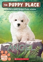 Angel (The Puppy Place #46)