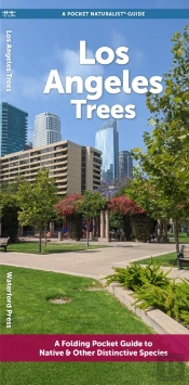 Angeles Trees