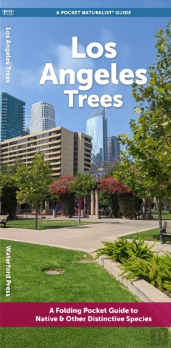 Bertrand.pt - Angeles Trees
