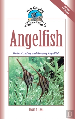 Bertrand.pt - Angelfish