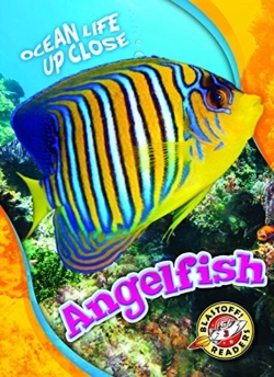 Bertrand.pt - Angelfish