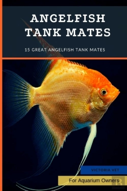 Bertrand.pt - Angelfish Tank Mates