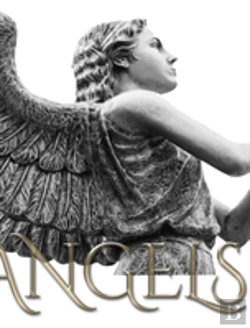 Bertrand.pt - Angels Journal