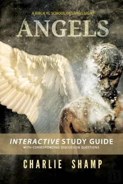 Bertrand.pt - Angels Workbook