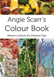 Angie Scarr'S Colour Book