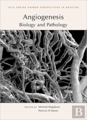 Angiogenesis
