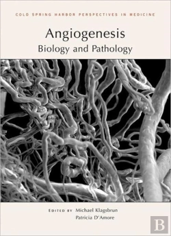 Bertrand.pt - Angiogenesis