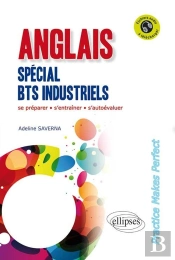 Anglais. Spécial Bts Industriels. 'Practice Makes Perfect'. [Avec Fichiers Audio]