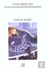 Angle Mort