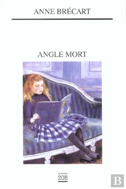 Bertrand.pt - Angle Mort