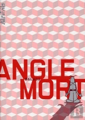 Angle Mort