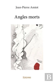 Angles Morts