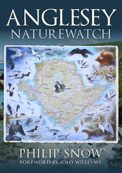Bertrand.pt - Anglesey Naturewatch