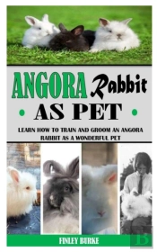 Angora Rabbit As Pet