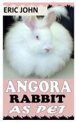 Angora Rabbit As Pet