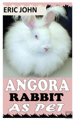 Bertrand.pt - Angora Rabbit As Pet